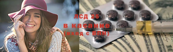 шишки Белокуриха