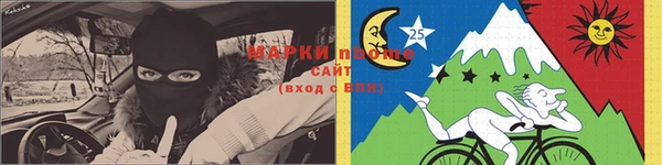 шишки Белокуриха