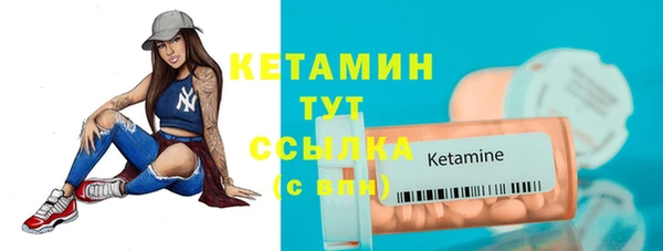 шишки Белокуриха