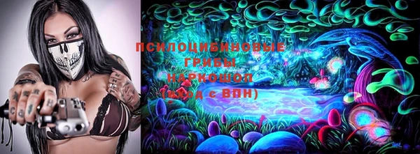 шишки Белокуриха