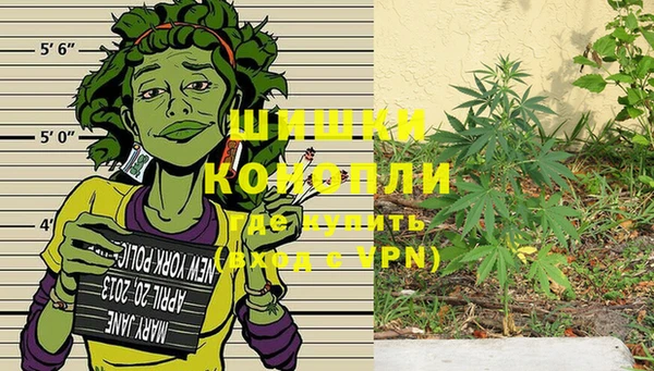 шишки Белокуриха