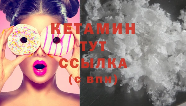 шишки Белокуриха