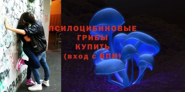 шишки Белокуриха