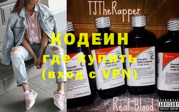 шишки Белокуриха