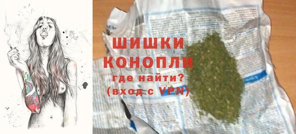 шишки Белокуриха