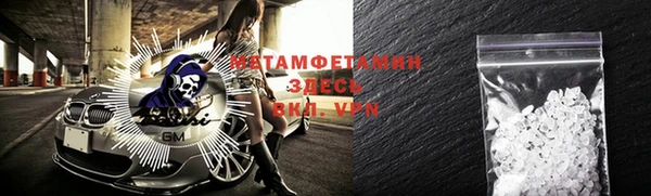 шишки Белокуриха