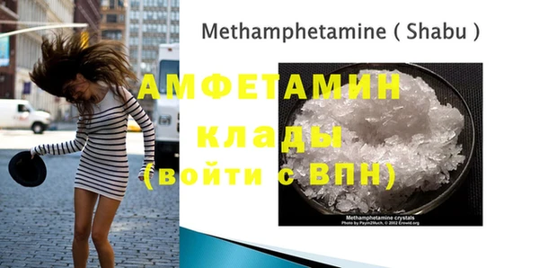 шишки Белокуриха