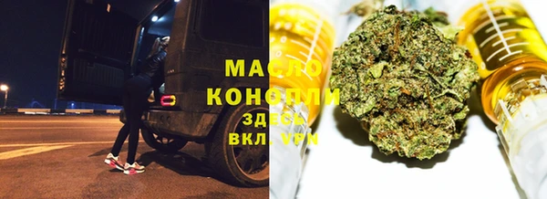 шишки Белокуриха