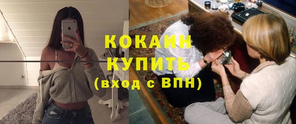 шишки Белокуриха