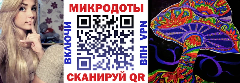 Псилоцибиновые грибы мухоморы  закладка  Гатчина 