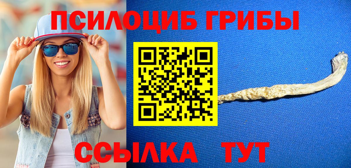 Псилоцибиновые грибы MAGIC MUSHROOMS Гатчина