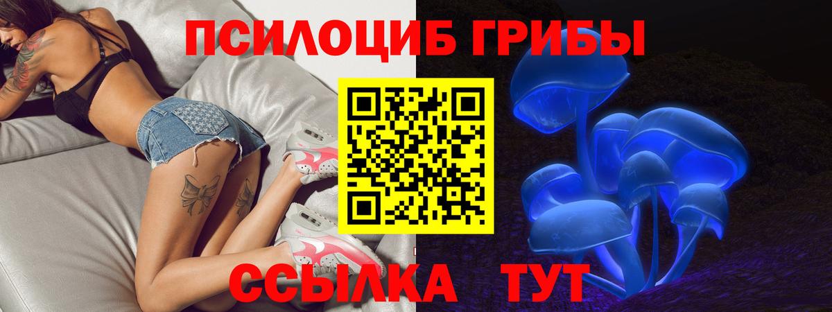 Галлюциногенные грибы Psilocybe  Галлюциногенные грибы мухоморы  Гатчина  Вход с VPN 